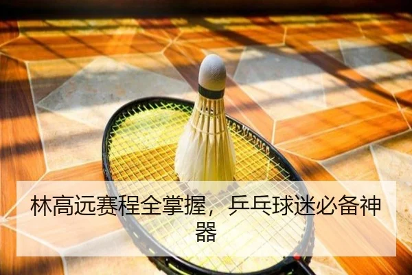 lin-gao-yuan-sai-cheng-quan-zhang-wo-ping-pang-qiu-mi-bi-bei-shen-qi-2-644.jpg