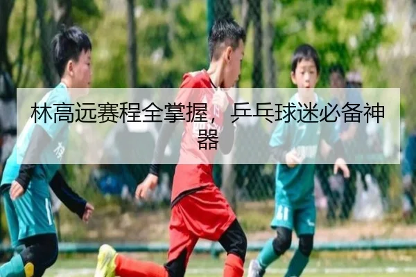 林高远赛程全掌握，乒乓球迷必备神器